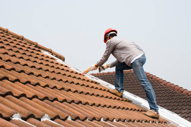 Best Asphalt Shingle Roofing  in Westlake Corner, VA